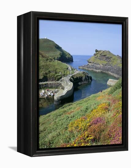 Boscastle Harbour, Boscastle, Cornwall, England, United Kingdom-Roy Rainford-Framed Premier Image Canvas