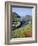 Boscastle Harbour, Boscastle, Cornwall, England, United Kingdom-Roy Rainford-Framed Photographic Print