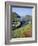 Boscastle Harbour, Boscastle, Cornwall, England, United Kingdom-Roy Rainford-Framed Photographic Print