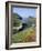 Boscastle Harbour, Boscastle, Cornwall, England, United Kingdom-Roy Rainford-Framed Photographic Print