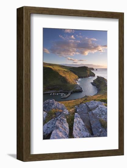 Boscastle Harbour from the Coast Path, Cornwall, England. Summer (August)-Adam Burton-Framed Photographic Print