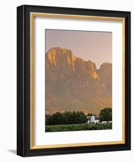 Boschendal Wine Estate, Franschoek, Cape Province, South Africa-Walter Bibikow-Framed Photographic Print