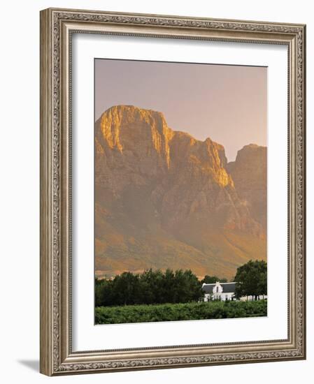 Boschendal Wine Estate, Franschoek, Cape Province, South Africa-Walter Bibikow-Framed Photographic Print