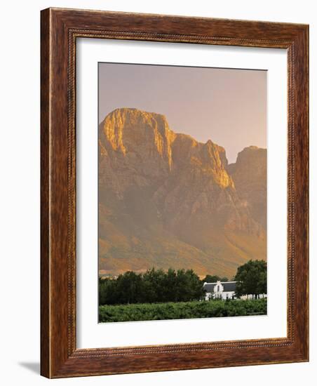 Boschendal Wine Estate, Franschoek, Cape Province, South Africa-Walter Bibikow-Framed Photographic Print