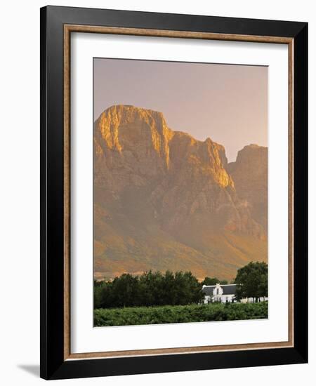 Boschendal Wine Estate, Franschoek, Cape Province, South Africa-Walter Bibikow-Framed Photographic Print