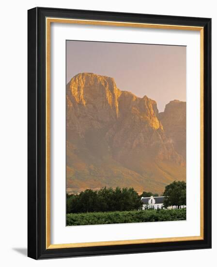 Boschendal Wine Estate, Franschoek, Cape Province, South Africa-Walter Bibikow-Framed Photographic Print