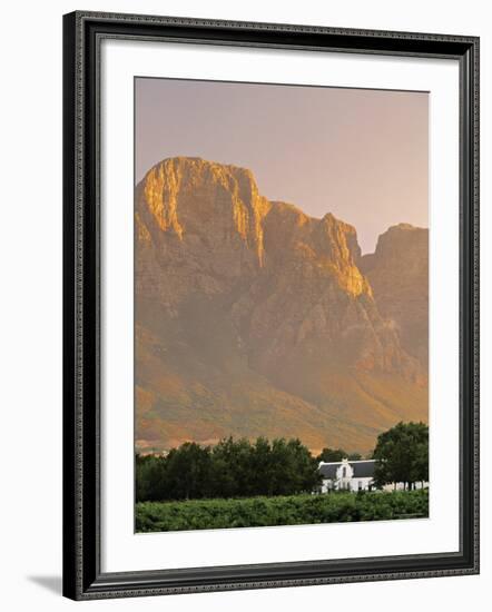 Boschendal Wine Estate, Franschoek, Cape Province, South Africa-Walter Bibikow-Framed Photographic Print