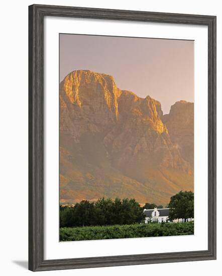 Boschendal Wine Estate, Franschoek, Cape Province, South Africa-Walter Bibikow-Framed Photographic Print