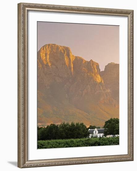 Boschendal Wine Estate, Franschoek, Cape Province, South Africa-Walter Bibikow-Framed Photographic Print