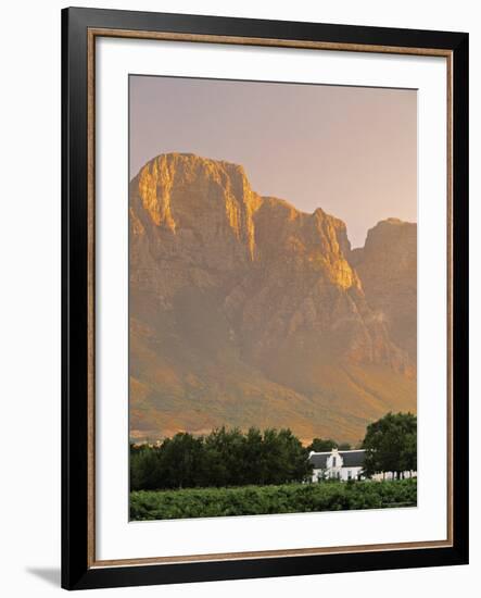 Boschendal Wine Estate, Franschoek, Cape Province, South Africa-Walter Bibikow-Framed Photographic Print