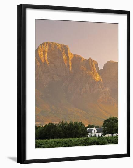 Boschendal Wine Estate, Franschoek, Cape Province, South Africa-Walter Bibikow-Framed Photographic Print