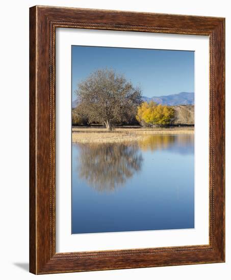 Bosque del Apache National Wildlife Refuge, fall, New Mexico-Maresa Pryor-Framed Photographic Print