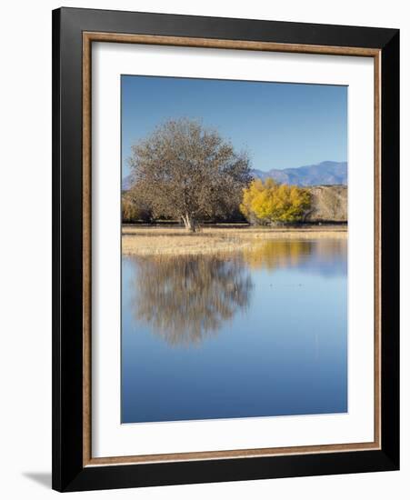 Bosque del Apache National Wildlife Refuge, fall, New Mexico-Maresa Pryor-Framed Photographic Print