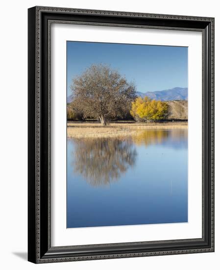 Bosque del Apache National Wildlife Refuge, fall, New Mexico-Maresa Pryor-Framed Photographic Print