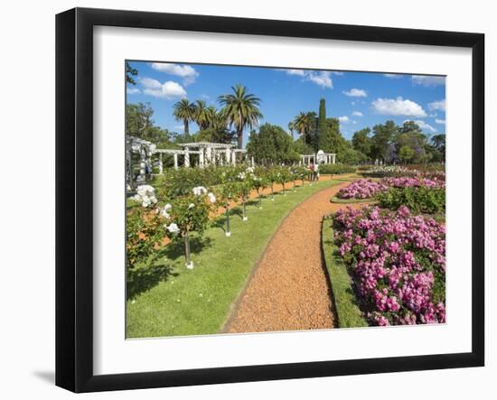 Bosques de Palermo park in quarter Palermo, the rose garden. Buenos Aires, capital of Argentina.-Martin Zwick-Framed Photographic Print