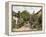 Bossington, Near Porlock, Somerset-Alfred Robert Quinton-Framed Premier Image Canvas