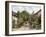 Bossington, Near Porlock, Somerset-Alfred Robert Quinton-Framed Giclee Print