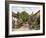 Bossington, Near Porlock, Somerset-Alfred Robert Quinton-Framed Giclee Print