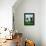 Boston and Frenchie-Brian Rubenacker-Framed Stretched Canvas displayed on a wall