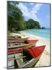 Boston Beach, Port Antonio, Jamaica, West Indies, Central America-Sergio Pitamitz-Mounted Photographic Print