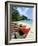 Boston Beach, Port Antonio, Jamaica, West Indies, Central America-Sergio Pitamitz-Framed Photographic Print