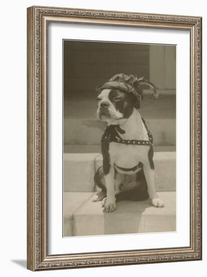 Boston Bulldog in Renaissance Cap-null-Framed Art Print