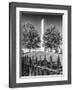 Boston Bunker Hill Monument-Melanie Viola-Framed Art Print