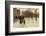 Boston Common at Twilight, 1885-86-Childe Hassam-Framed Art Print