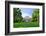 Boston Massachusetts Institute of Technology Campus with Trees and Lawn-Songquan Deng-Framed Photographic Print