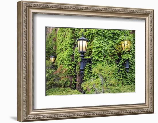 Boston, Massachusetts, USA. Street lamps with abundant foliage of historic buildings.-Brent Bergherm-Framed Photographic Print