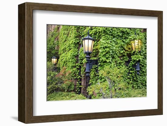 Boston, Massachusetts, USA. Street lamps with abundant foliage of historic buildings.-Brent Bergherm-Framed Photographic Print