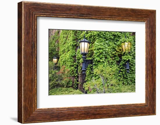 Boston, Massachusetts, USA. Street lamps with abundant foliage of historic buildings.-Brent Bergherm-Framed Photographic Print