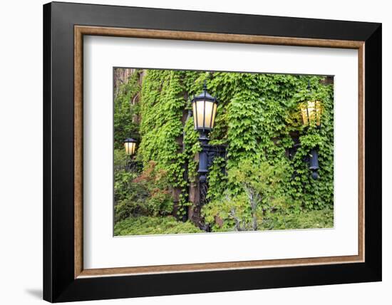 Boston, Massachusetts, USA. Street lamps with abundant foliage of historic buildings.-Brent Bergherm-Framed Photographic Print