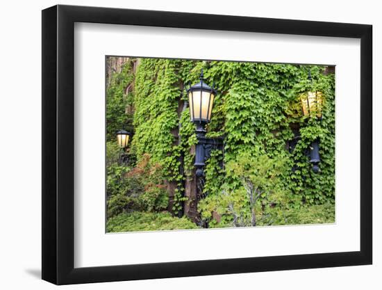 Boston, Massachusetts, USA. Street lamps with abundant foliage of historic buildings.-Brent Bergherm-Framed Photographic Print