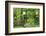 Boston, Massachusetts, USA. Street lamps with abundant foliage of historic buildings.-Brent Bergherm-Framed Photographic Print