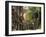 Boston, Massachusetts, USA-Peter Adams-Framed Photographic Print