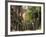 Boston, Massachusetts, USA-Peter Adams-Framed Photographic Print