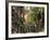 Boston, Massachusetts, USA-Peter Adams-Framed Photographic Print