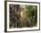 Boston, Massachusetts, USA-Peter Adams-Framed Photographic Print