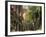 Boston, Massachusetts, USA-Peter Adams-Framed Photographic Print