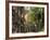 Boston, Massachusetts, USA-Peter Adams-Framed Photographic Print