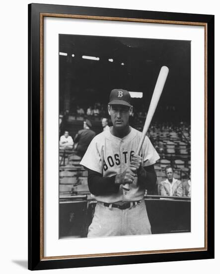 Boston Red Sox Player Ted Williams-Frank Scherschel-Framed Premium Photographic Print