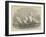 Boston Regatta, the Start for the Member's Cup-Edwin Weedon-Framed Giclee Print