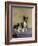 Boston's Terrier-Diana Thorne-Framed Art Print