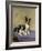 Boston's Terrier-Diana Thorne-Framed Art Print