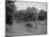 Boston Swan Boats-Carol Highsmith-Mounted Photo