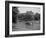 Boston Swan Boats-Carol Highsmith-Framed Photo