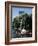 Boston Swan Boats-Carol Highsmith-Framed Photo