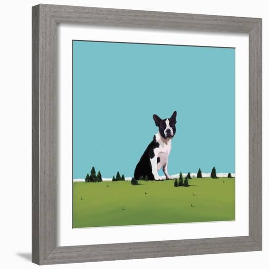 Boston Terrier, 2008-Marjorie Weiss-Framed Giclee Print