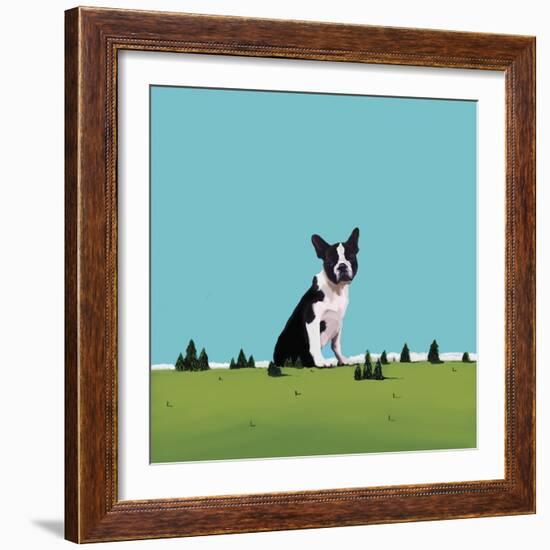 Boston Terrier, 2008-Marjorie Weiss-Framed Giclee Print